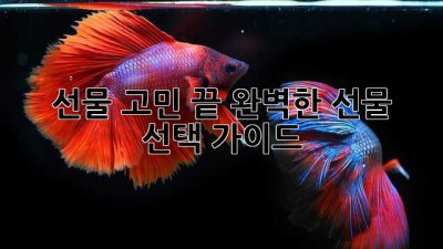 선물 고민 끝! 완벽한 선물 선택 가이드🎁